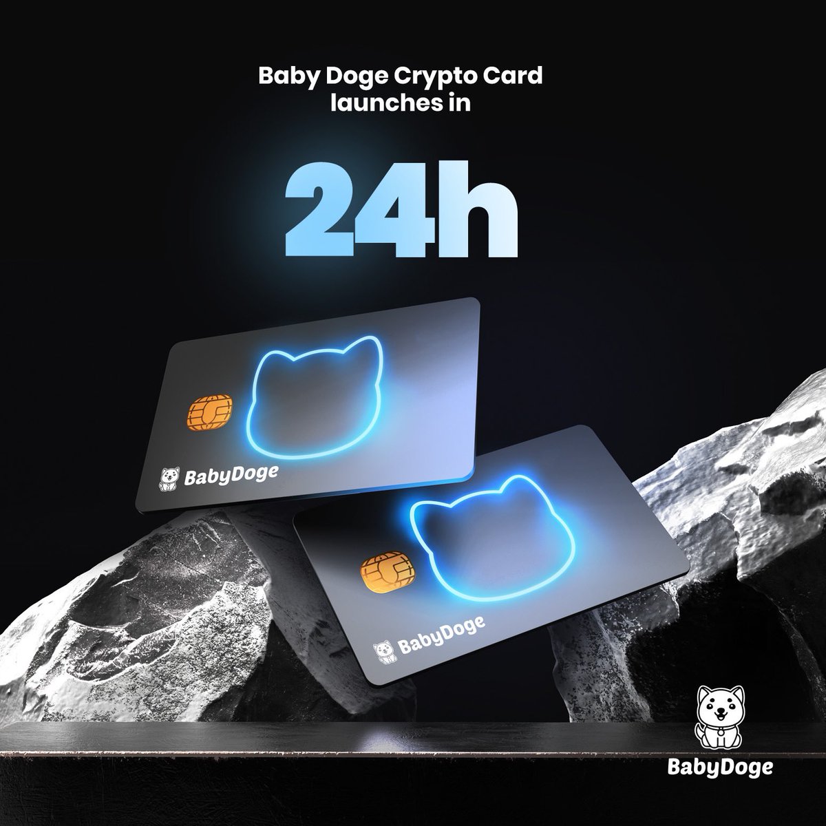 We are 24 hours away from our virtual crypto card going live!

Giving #BabyDoge the ultimate utility !