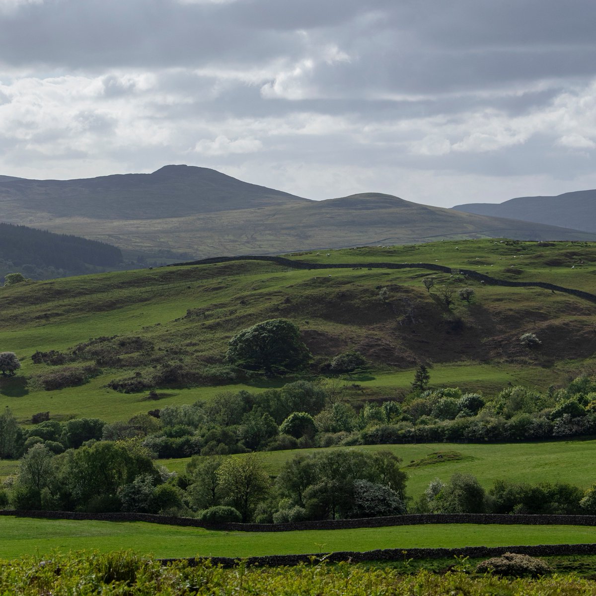 spring_fling's tweet photo. Our Orange route has several artists and makers who are new to Spring Fling: Louisa Birdsall, Linda Hadfield, Andy Brooke,, Ruth Clayton, Rachel Ashcroft, Abbie la Rooy, Marly Merle.
Full details in brochure, or in Virtual Studios:https://t.co/dBOSzTEJRJ https://t.co/jEByWZujSJ