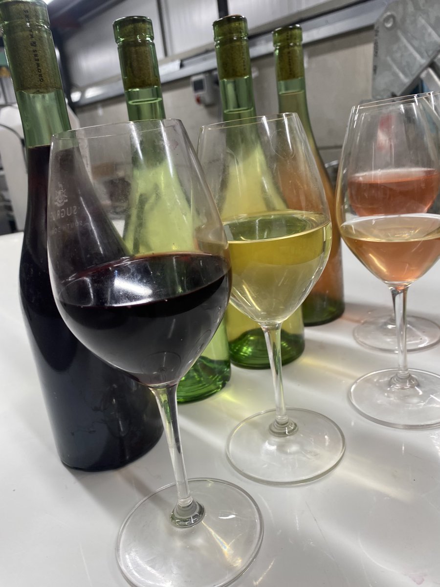 Getting there.⁦<a href="/ArteliumWine/">Artelium Wine Estate</a>⁩ #winesofsussex