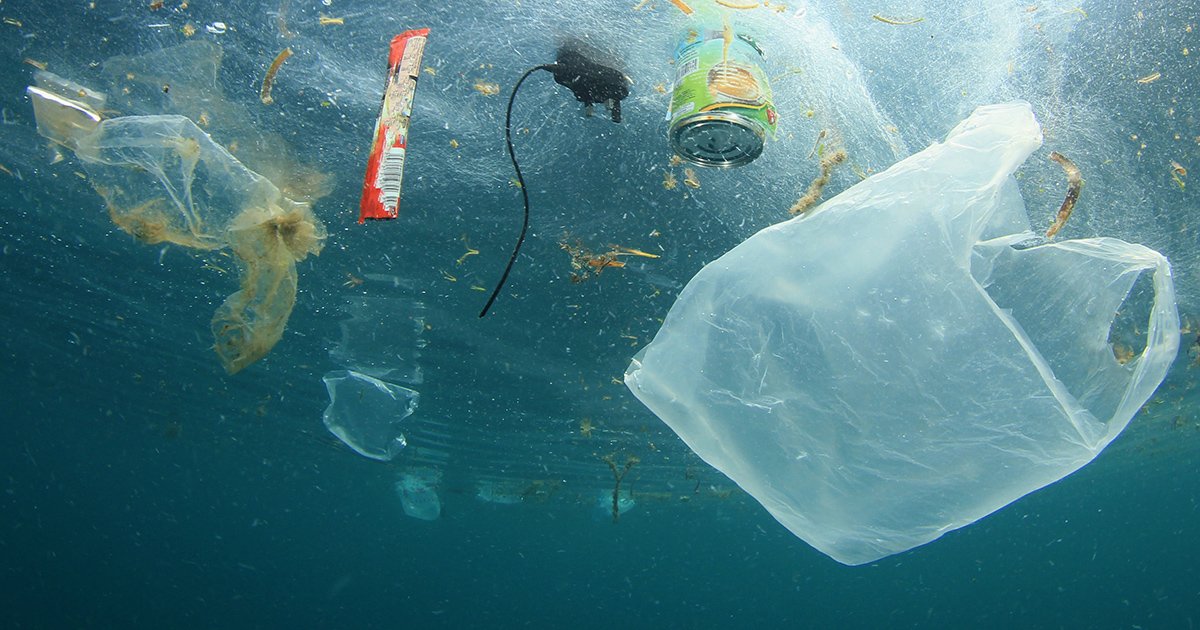 ElginAngelo's tweet image. Réduisons notre consommation de plastique pour protéger notre planète. #StopPlasticPollution