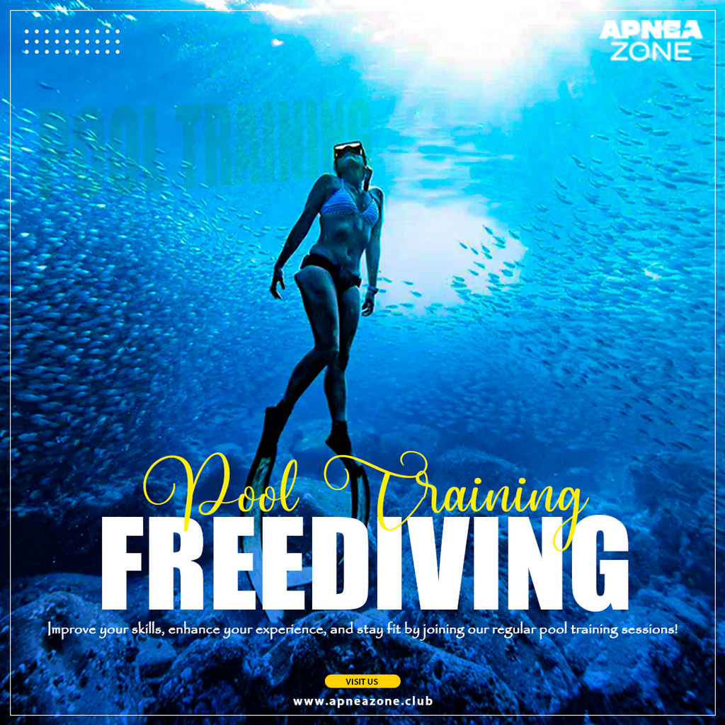 Dive o'clock PRO tweet media