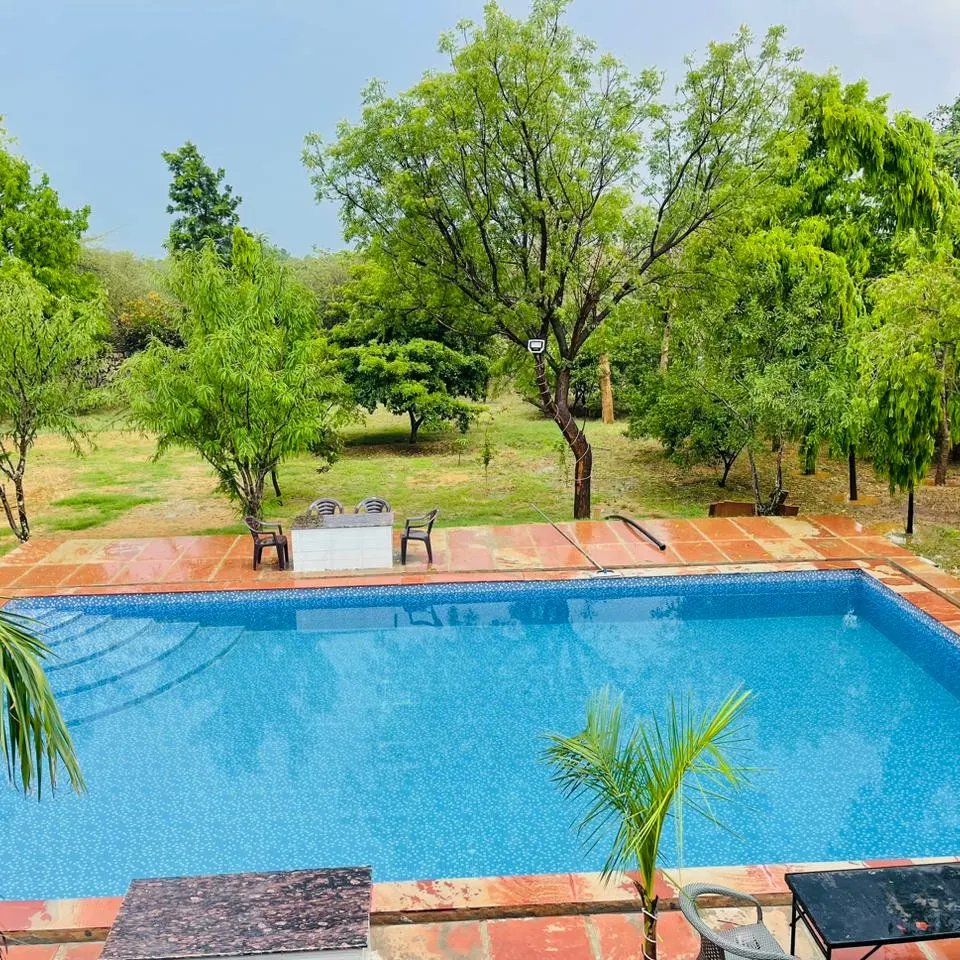 BreezerFarms _ big swimming pool in Gurgaon sohna road
Low price best private property in Delhi NCR Gurgaon
Call now 7419067552
#poolparty #farmhouse  #pool 

#BreezerFarms