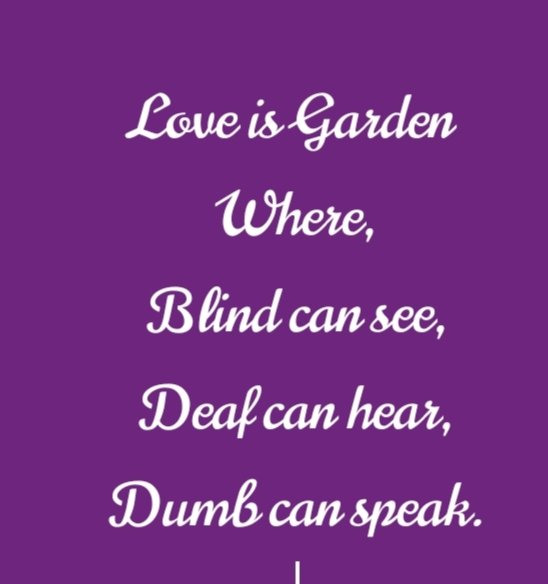 soomroateeque1's tweet photo. What's Love? https://t.co/GlgJ0UiD47