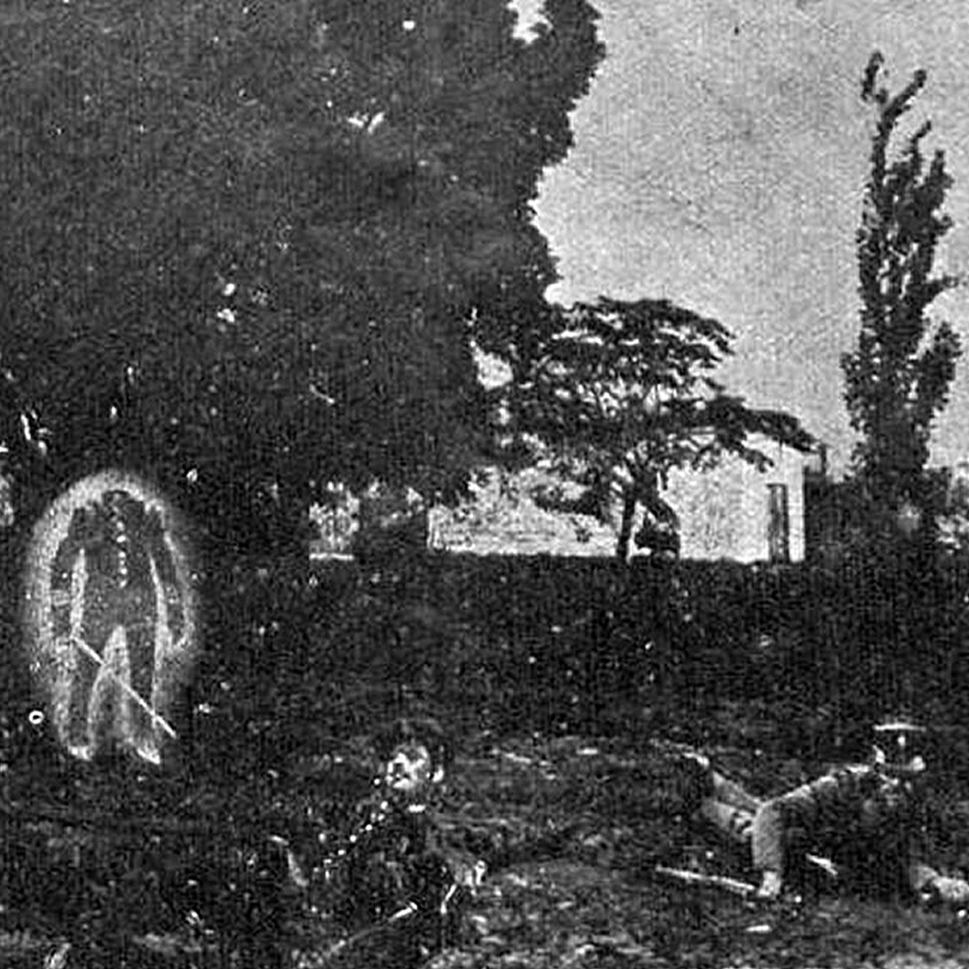 Hernán S. Vizzari tweet media