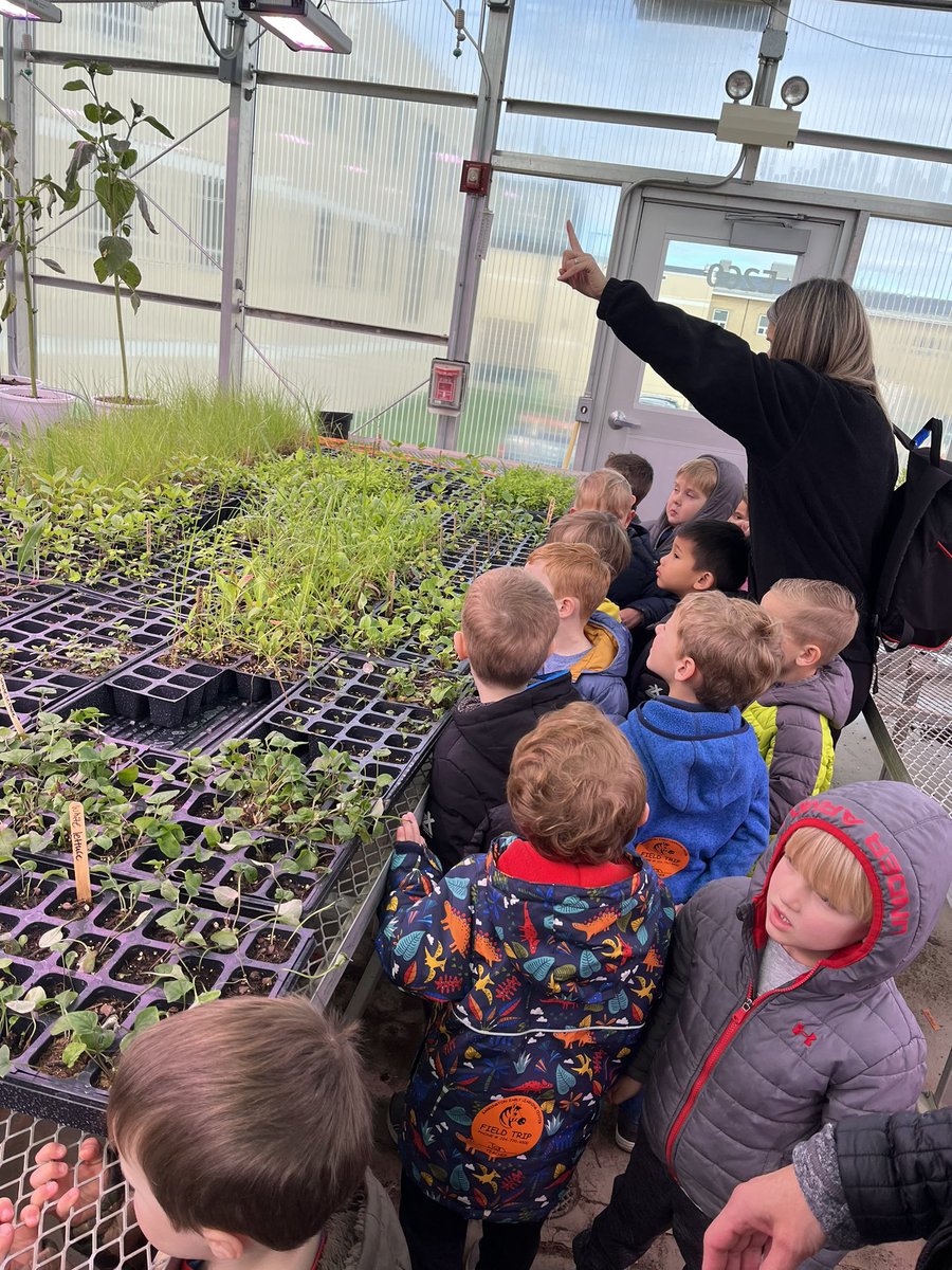 Michelle Tapia tweet media