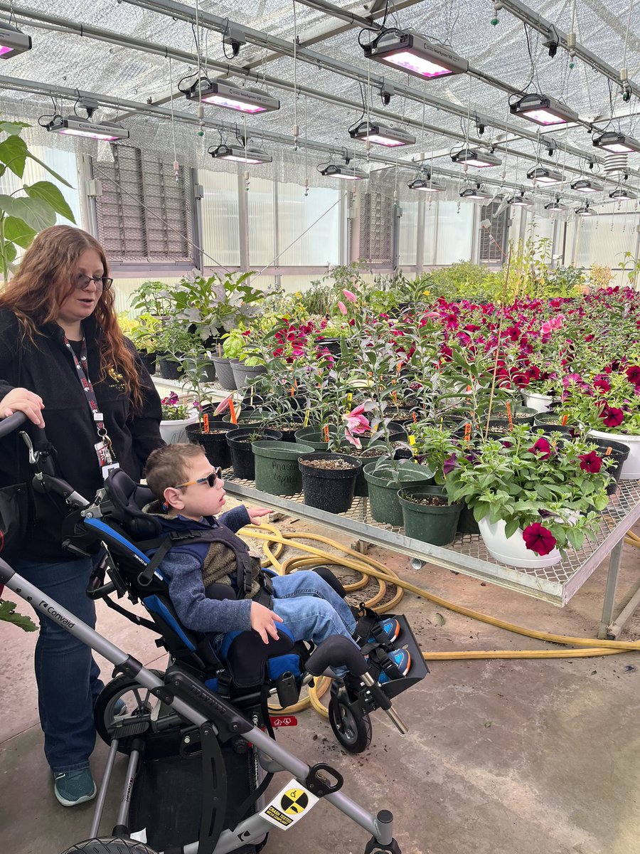 Michelle Tapia tweet media