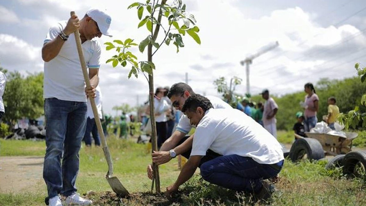 parragagraciela's tweet photo. 🌳Para combatir el Cambio Climático, siembren árboles 
🌳Para refrescar el ambiente, siembren árboles 
🌳Para frenar las altas temperaturas, No dañen los árboles
🌳Para hacer vivibles nuestras ciudades, no talen los árboles
🌳La mejor herencia, los árboles. https://t.co/gZJRlvERmb