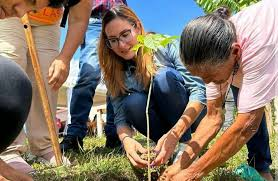 parragagraciela's tweet photo. 🌳Para combatir el Cambio Climático, siembren árboles 
🌳Para refrescar el ambiente, siembren árboles 
🌳Para frenar las altas temperaturas, No dañen los árboles
🌳Para hacer vivibles nuestras ciudades, no talen los árboles
🌳La mejor herencia, los árboles. https://t.co/gZJRlvERmb