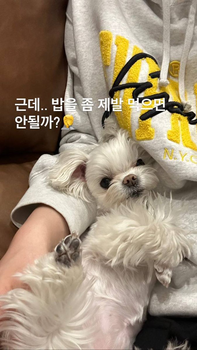 PO7SON's tweet photo. ‹ 𝗔𝘁𝘁 › @196CY  𝗶𝗻𝘀𝘁𝗮𝗴𝗿𝗮𝗺 𝘂𝗽𝗱𝗮𝗱𝗲. https://t.co/cQ3AekgELP