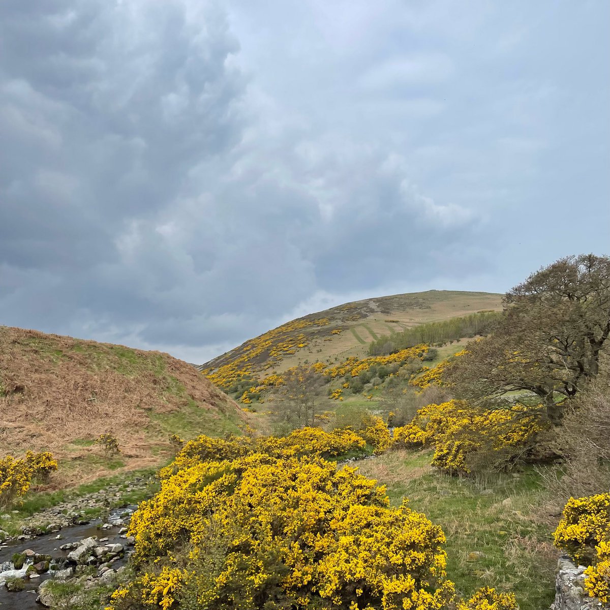 robsonandcowan's tweet photo. A trip up the fabulous #happyvalley aka Harthope Valley today for our @euronics_UK team,and on a day like today,the blossom is looking and smelling fantastic #Langleeford #JustAsk https://t.co/ApEWXmIEbk