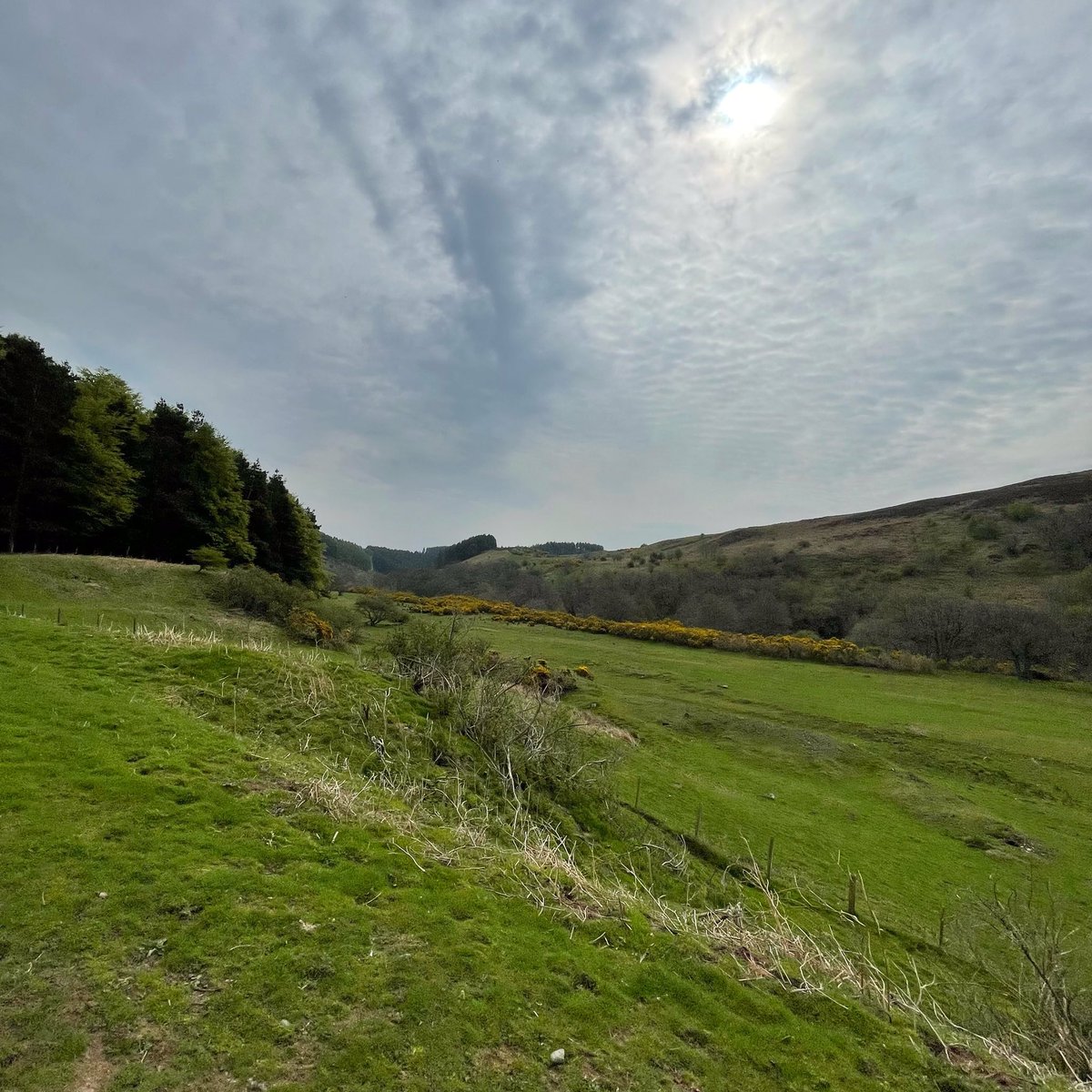 robsonandcowan's tweet photo. A trip up the fabulous #happyvalley aka Harthope Valley today for our @euronics_UK team,and on a day like today,the blossom is looking and smelling fantastic #Langleeford #JustAsk https://t.co/ApEWXmIEbk