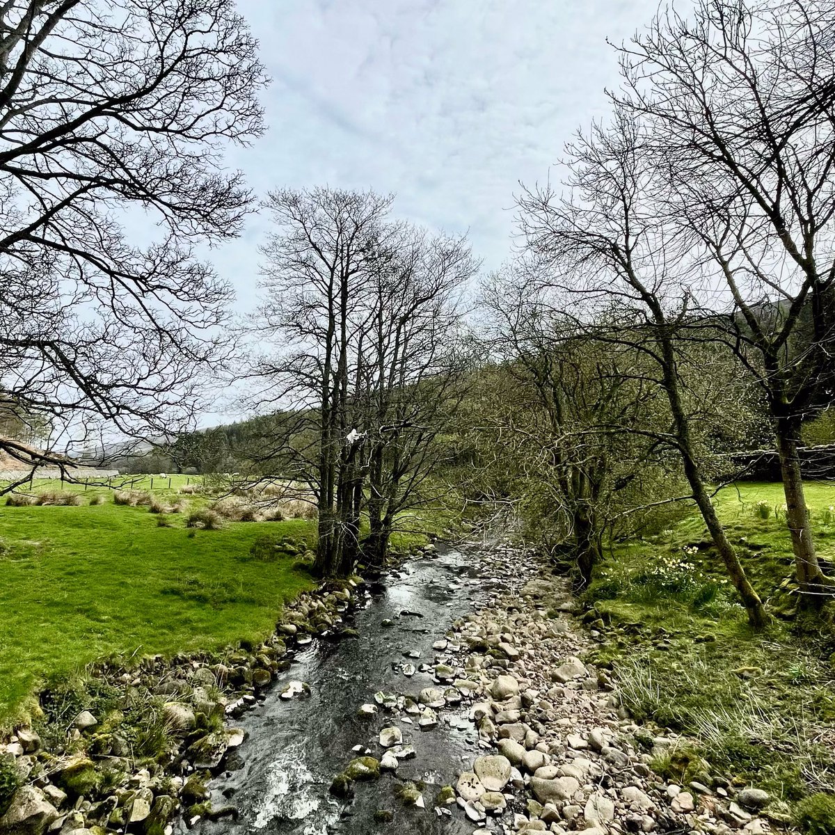 robsonandcowan's tweet photo. A trip up the fabulous #happyvalley aka Harthope Valley today for our @euronics_UK team,and on a day like today,the blossom is looking and smelling fantastic #Langleeford #JustAsk https://t.co/ApEWXmIEbk