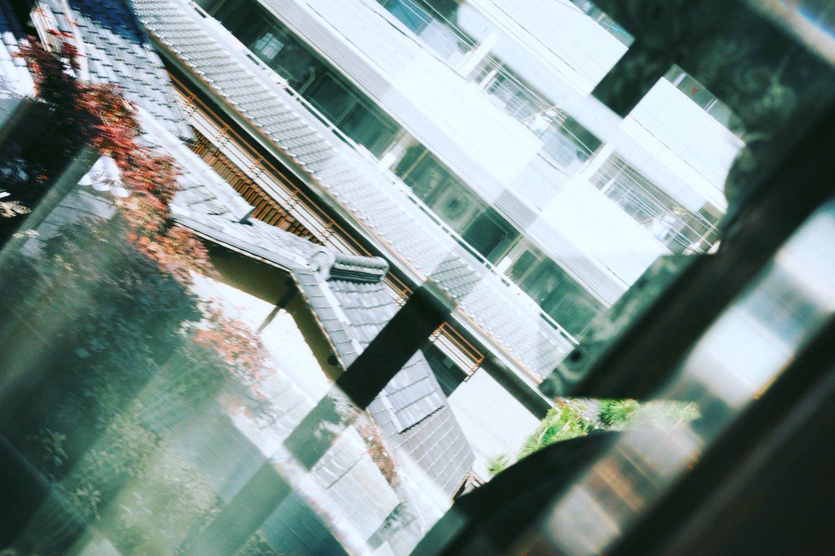 set_953's tweet image. 硝子窓

#硝子窓
#glasswindow
#スナップ写真
#snapshot
#streetsnap
#写真好きな人と繋がりたい
#キリトリセカイ
#写真表現
#GRIIIx
#京都
#kyoto