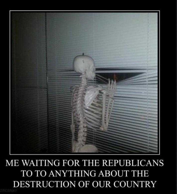 Catturd ™ (@catturd2) on Twitter photo 