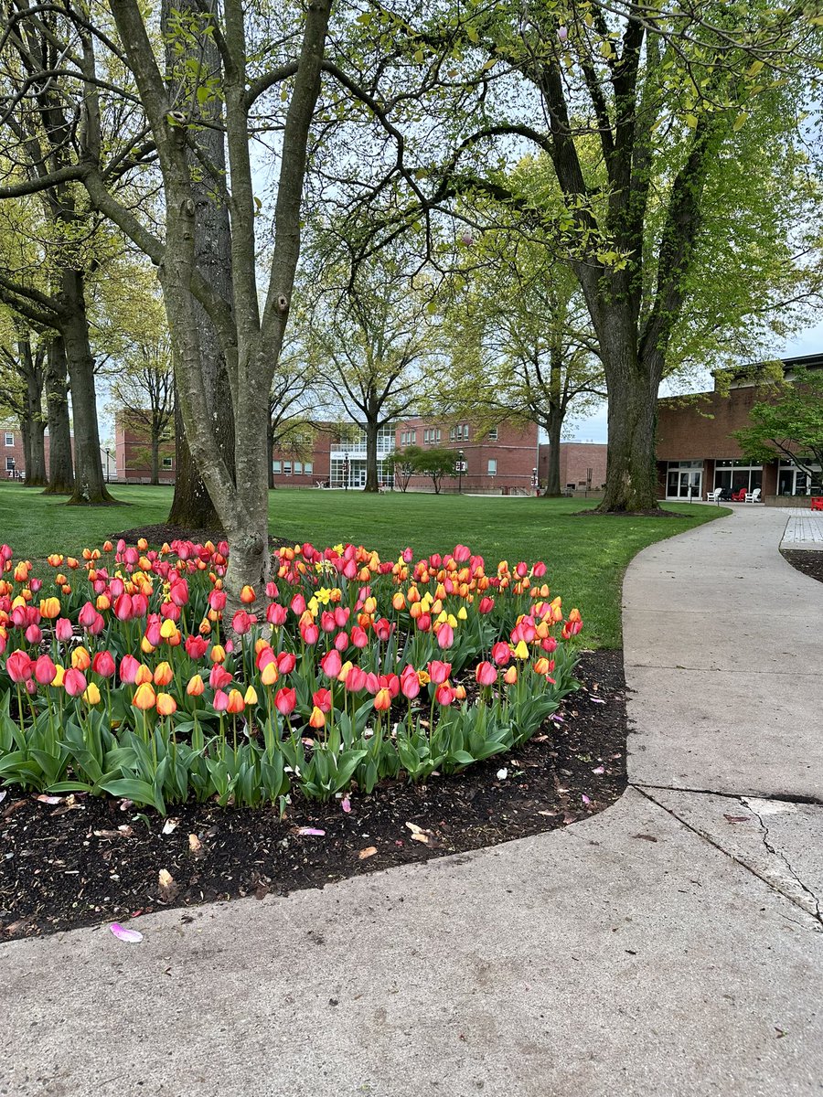 ThomasDillow's tweet photo. Nothing quite like Kingswood Oxford in May!  We’re lucky to have the best grounds crew on earth!  @WyvernNation https://t.co/cvVxtP0Pgc