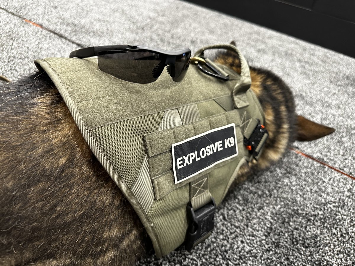 MCRSafety's tweet photo. A successful Day 2 of OTC 2023 was capped off by a friendly visit from one of our “furry” law enforcement supporters. Tier 1 Tactical Gear is your go to choice gloves and safety glasses! #TrustedToProtect #WeProtectPeople #OTC2023
https://t.co/bH6fwt0d1E https://t.co/uBYNeB3pwx