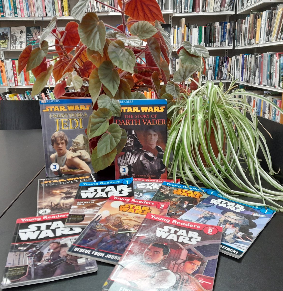 CavanLibrary's tweet photo. Tomorrow, May the 4th is "Star Wars Day" why not #dropin to Cootehill Library and select one of their Star Wars Books or colouring pages.....Mags says "The Force is Strong in Cootehill Library"
#StarWarsDay #CavanLibraries @LibrariesIre https://t.co/bA8yqCgI71