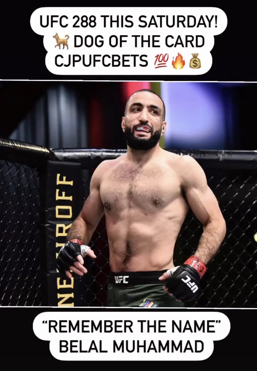 My dog of the card for UFC 288 is “Remember The Name” Belal Muhammad! #MMATwitter #ufc288 #ufc288predictions #underdog #rememberthename #belalmuhammad #ufcpicks #dogoftheweek #fight #knockout #ufcnews #ufcpodcast #burnsvsmuhammad #ufcnewjersey #comainevent #fyp #cjpufcbets