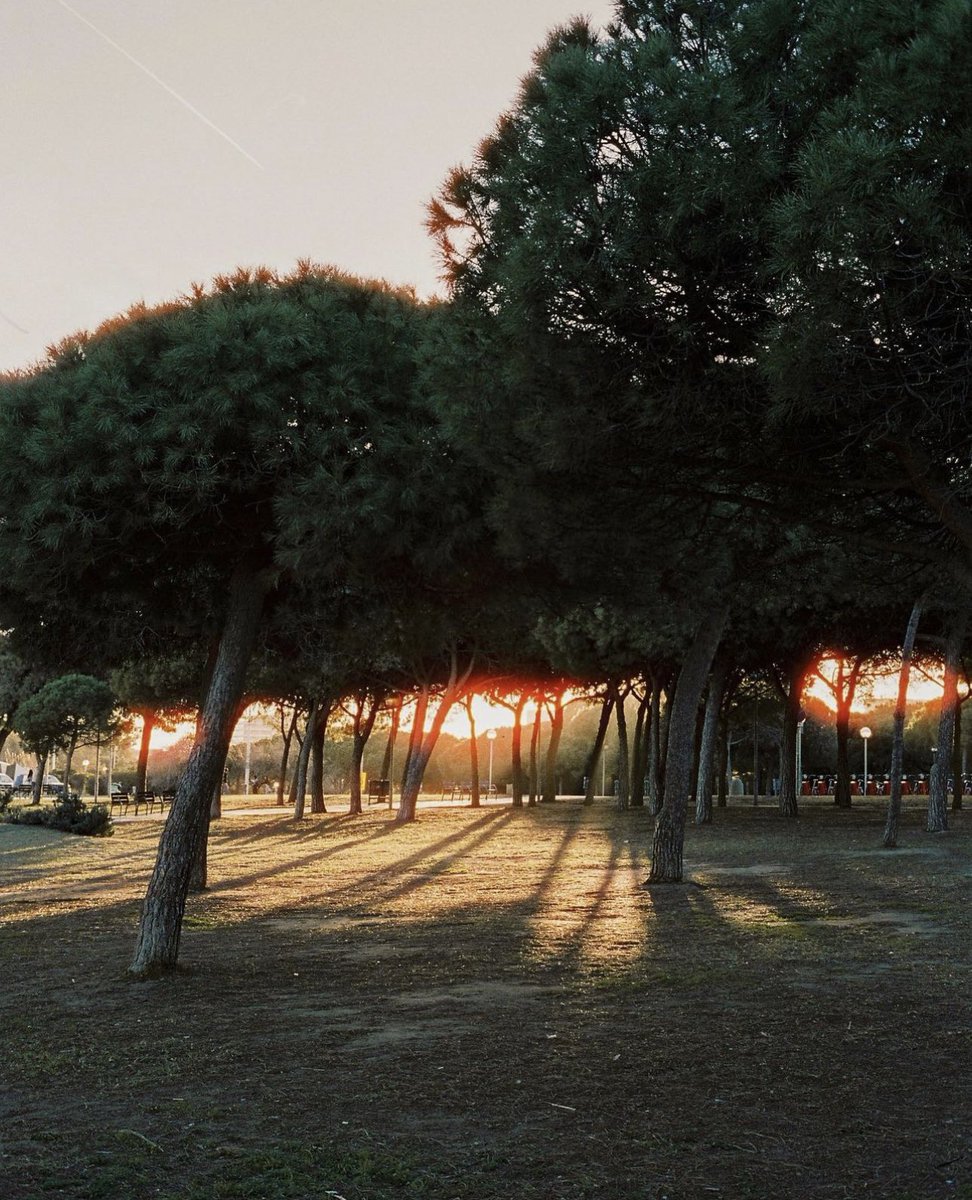 LEICA MAG tweet media