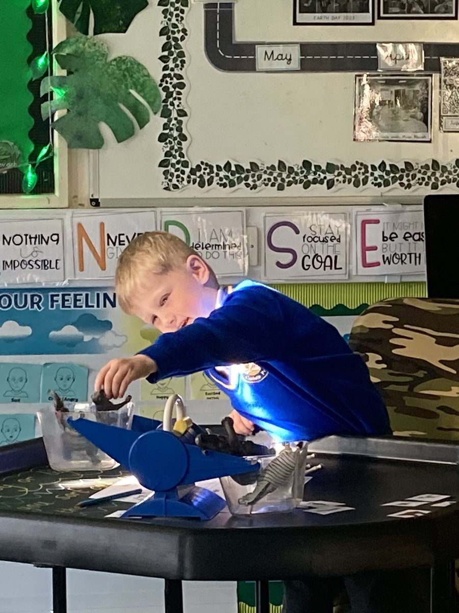 HolySpiritWA9's tweet photo. Super #Maths learning in the #Rainforest this morning ๐คฉ Dylan was exploring โheavy and lightโ as part of our Mass learning by weighing the animals and comparing them ๐๐ฆ๐๐ #Superstar #PracticalLearning #ConcreteLearning https://t.co/YdytydzTgG