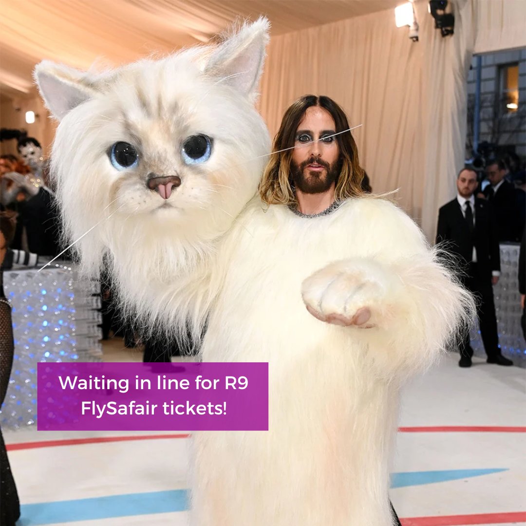 Hachoomarketing's tweet photo. How we currently feel looking at the lucky waving cat in @FlySafair R9 ticket sale's waiting room.

#flysafairR9sale #marketing #sale #FlySafair https://t.co/kvxgt9jmwg