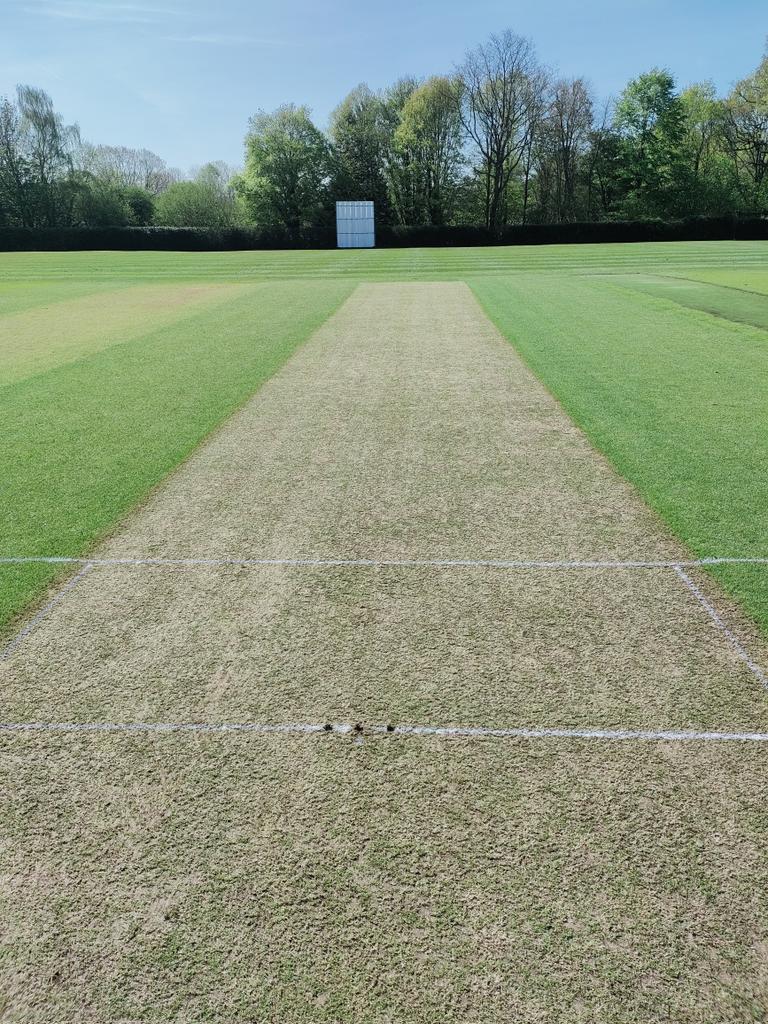 Pleased how this one turned out, ready for the MCC 
#ChurchersGrounds
#ChurchersCricket