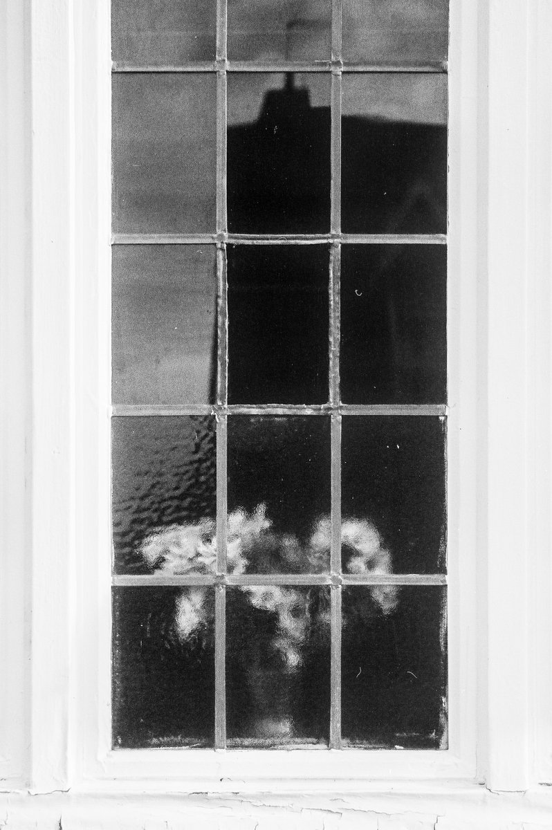 RegularFern's tweet photo. I love seeing the different flowers put in this window every time I pass by it! One of many pictures of this window https://t.co/xLNj1D7IYS