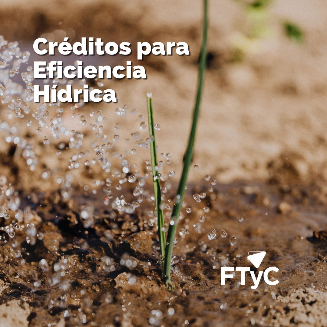 FTyC_Mza's tweet photo. 💦🌱
Financiá equipos de riego, obras complementarias, construcción y arreglo de perforaciones y reservorios para el uso eficiente del agua.
💧10 años de devolución.
💧Incluidos 2 años de gracia.
Conocé más👉https://t.co/irzvkHD8Nt
#Esfacil. https://t.co/pfFVX2aKFi