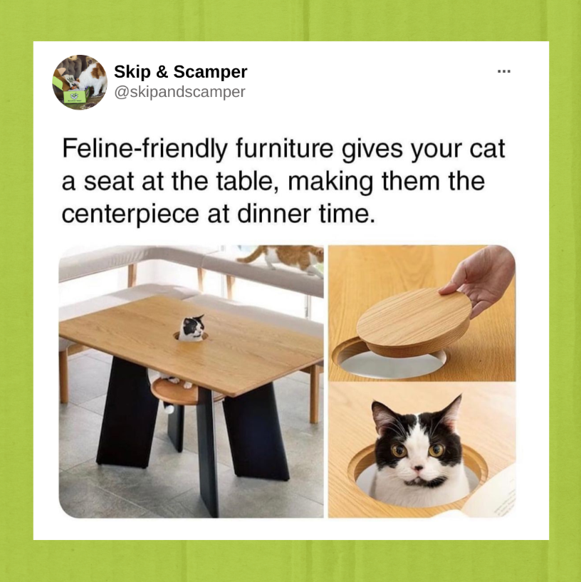 SkipandScamper's tweet photo. Finally, my cat can be the center of attention at ALL times 😆 

#memes #furniture #pets #petsubscription #catmemes https://t.co/I2LVkZ4RJs