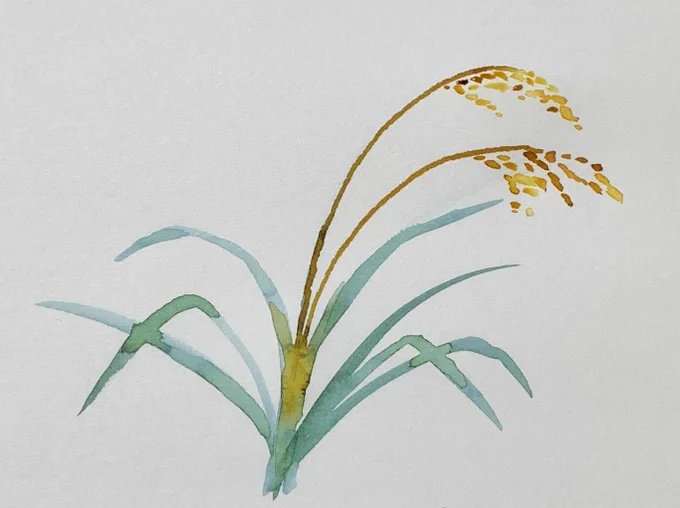 稲穂