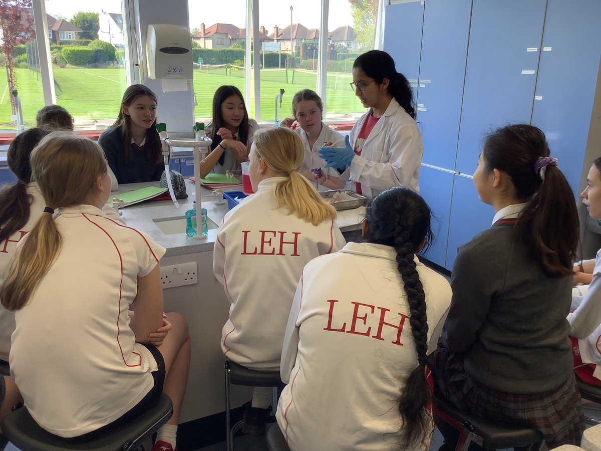 LEHSchool's tweet photo. A L6 biology student has been carrying out the dissection of a heart for a L4 science class today. #LEHSchool #LEHSixthForm @LEH_STEM https://t.co/ifxmCYn4kN