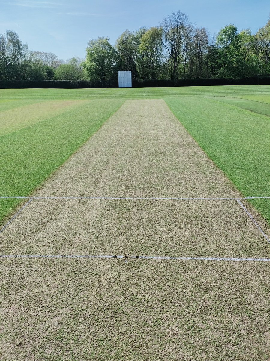 Pleased how this one turned out, ready for the MCC
#ChurchersGrounds
#ChurchersCricket