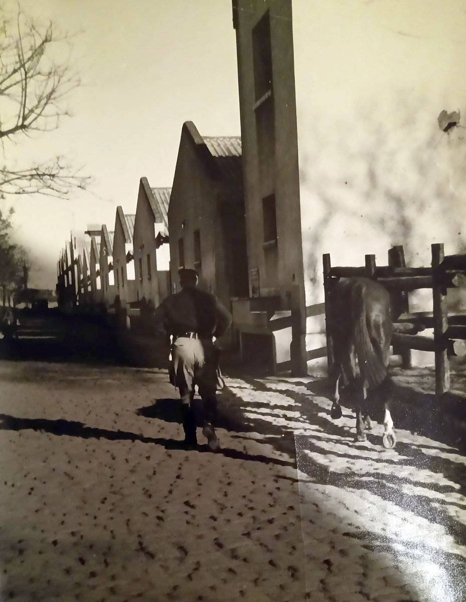 visualnews's tweet image. Dia de la Policia Montada
Policia Montada. Escuadra Azul.
El Comisario Mayor Enrique Pascual Picciuolo es la historia misma de la Institución. Retirado en 1986, fue nada menos que el primer Jefe y Fundador de la gloriosa #EscuadraAzul🐎 de la #PFA🇦🇷.