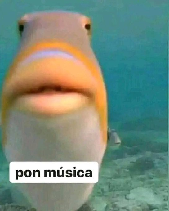aialecs's tweet photo. yo a los 5 segundos de montarme en un coche: https://t.co/IVsS1IFX9S