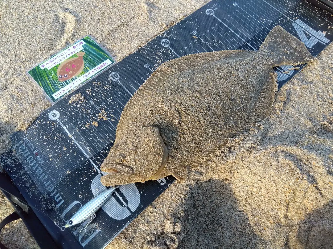 23ヴァンキッシュ