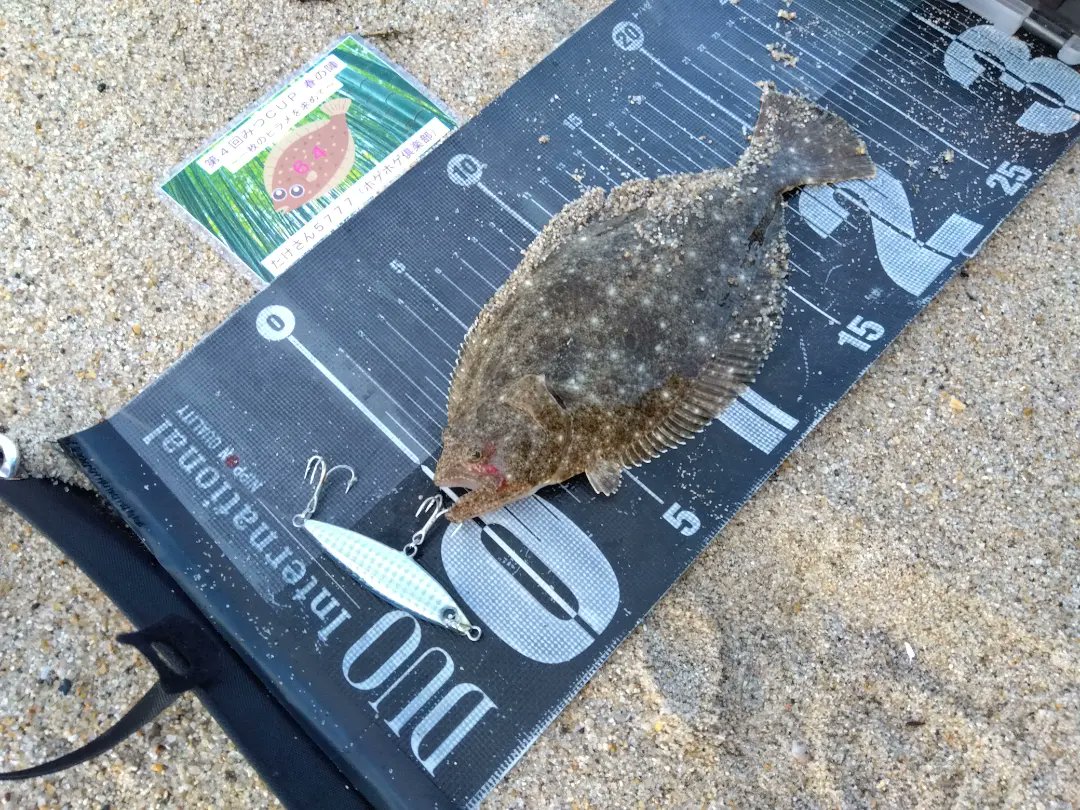 23ヴァンキッシュ