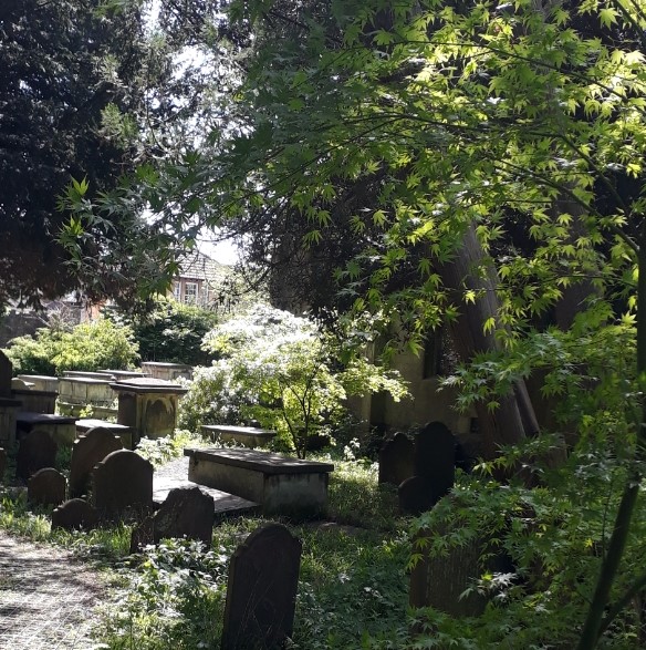 As a founder member 20 years ago Alan Bell was instrumental in opening up this once-locked churchyard for locals &amp; tourists to enjoy.  His beloved Acer trees &amp; the wildlife-friendly approach he pioneered to maintaining this beautiful historic site are part of his legacy. RIP