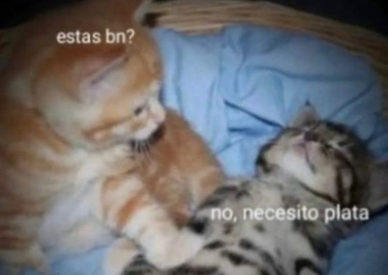 quiero plata