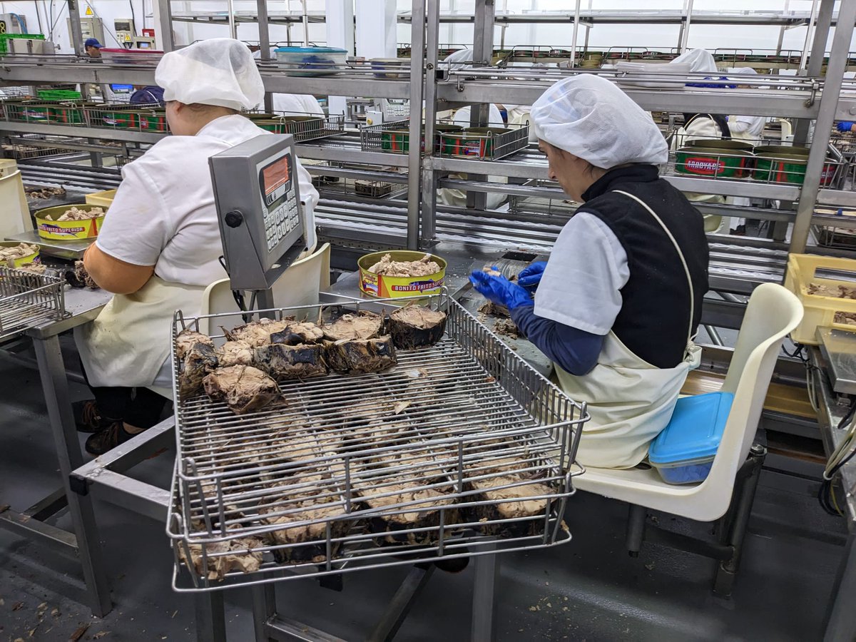 La visita a <a href="/ArroyabeBermeo/">Arroyabe</a> y <a href="/ElClubCampos/">Club Campos</a> pone el punto final a #BTF23 Muchas gracias por acompañarnos, nos vemos pronto!

<a href="/BermeoTunaForum/">Bermeo Tuna Forum</a> 

#Bermeo #sostenibilidad #atún #pescasostenible