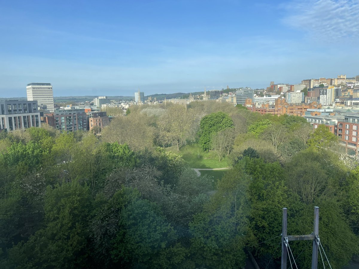 Head | Plymouth College tweet media