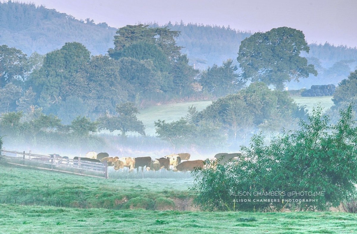 AlisonC24426188's tweet image. 10% off at Photo4Me - shop.photo4me.com/1223637 Also on alisonchambers2.redbubble.com &amp;amp; fineartamerica.com/featured/devon… #Devonshire #Devon #DevonPhotography #DevonPrints