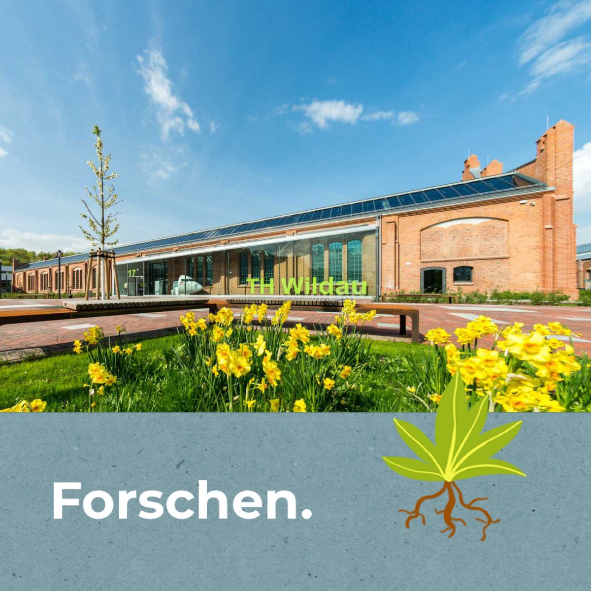 Potsdamer Tag der Wissenschaften tweet media