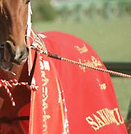肩の鳥が趣味嗜好をぶち込んで織った勝負服 こういうの大好き…ヤツは赤がよく似合う…