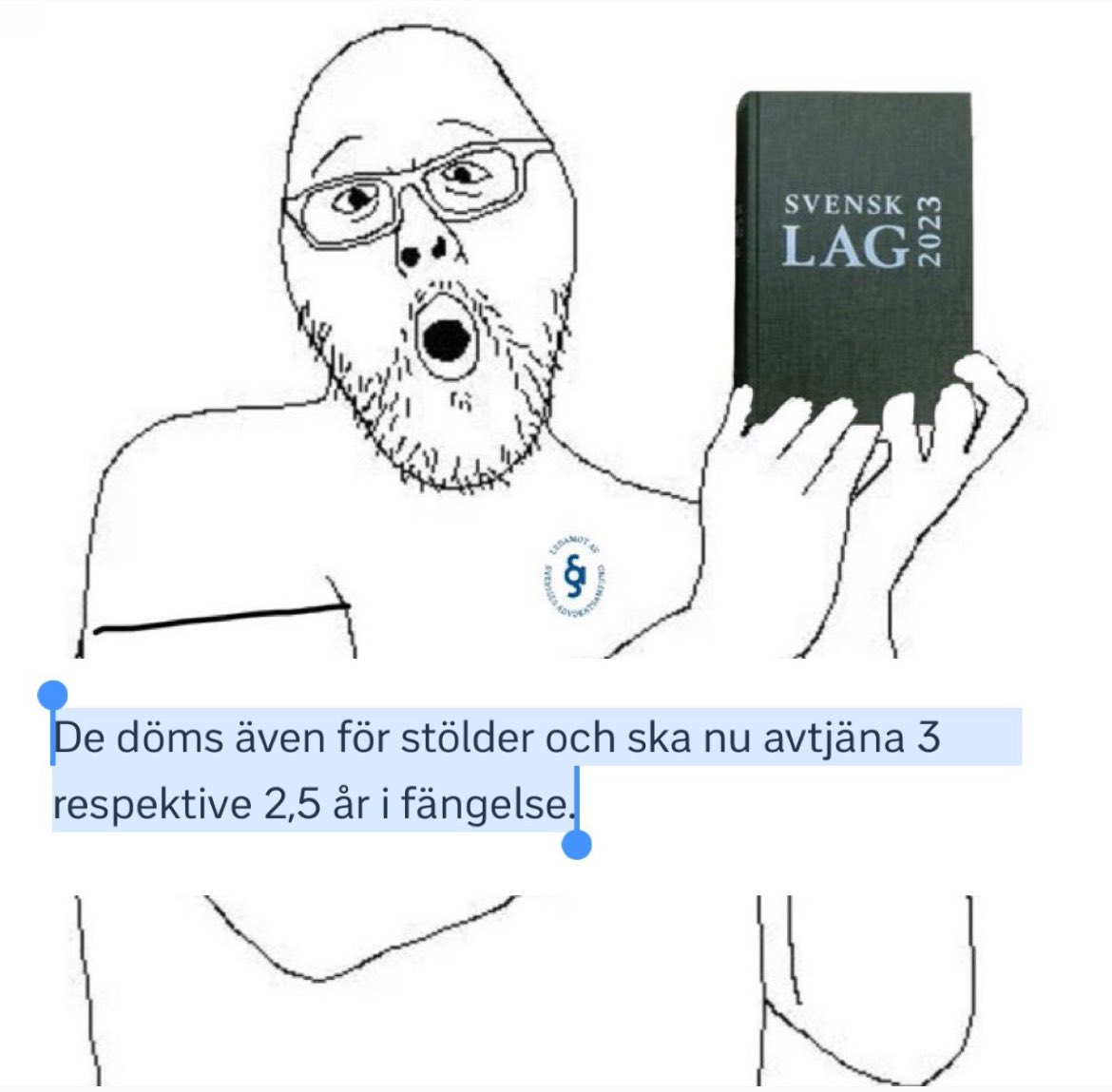 HerrHusis's tweet photo. ”….. Tacka GUD att vi bor i en RÄTTSSTAT” https://t.co/CClyv61LZz