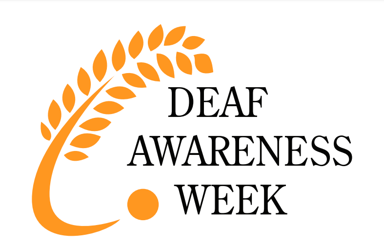 Anne-Frances Hayes, Politics and all that. tweet media