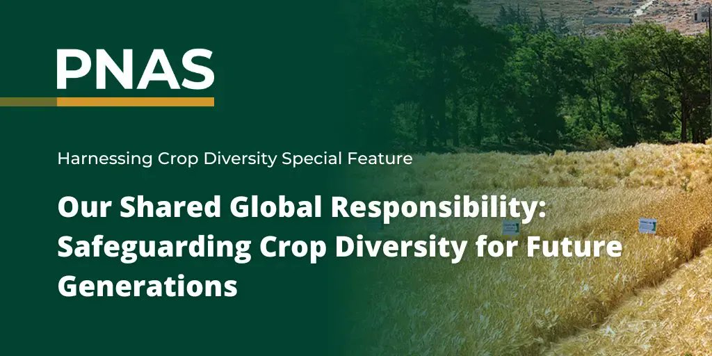 CropTrust's tweet photo. Check out the new paper by the Crop Trust scientists in the @PNASNews Special Feature! 

We advocate for better integration of non-standard #genebank collections in global efforts to conserve plant genetic resources. 

Read more here ➡️ https://t.co/TFv64xJf2S https://t.co/IcaPP4paQq