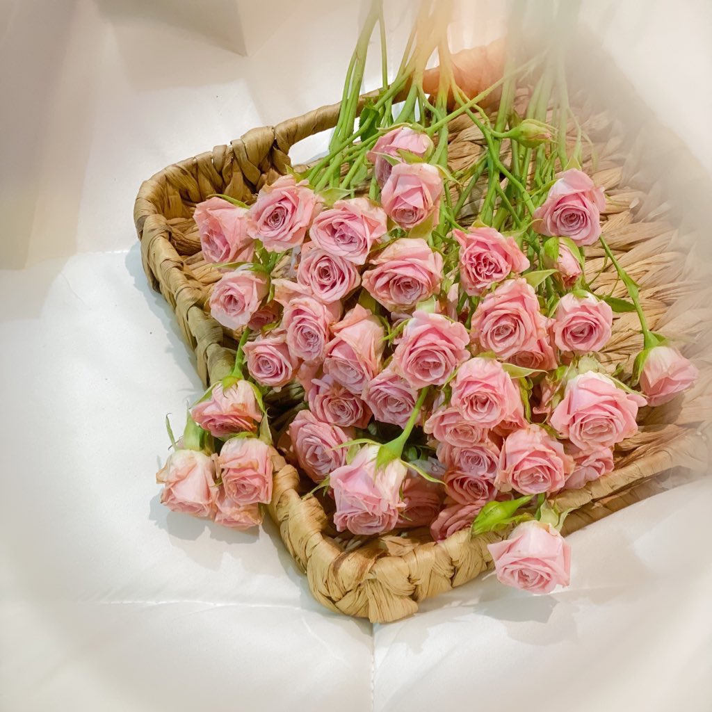 إبتعد عن الأشخاص الذين يحاولون التقليل من شأن طموحاتك، فصِغار الشأن دائماً ما يفعلون ذلك، ولكن العظماء حقاً يجعلونك تشعر أنك أنت أيضاً يمكن أن تصبح عظيماً ، 🕊️