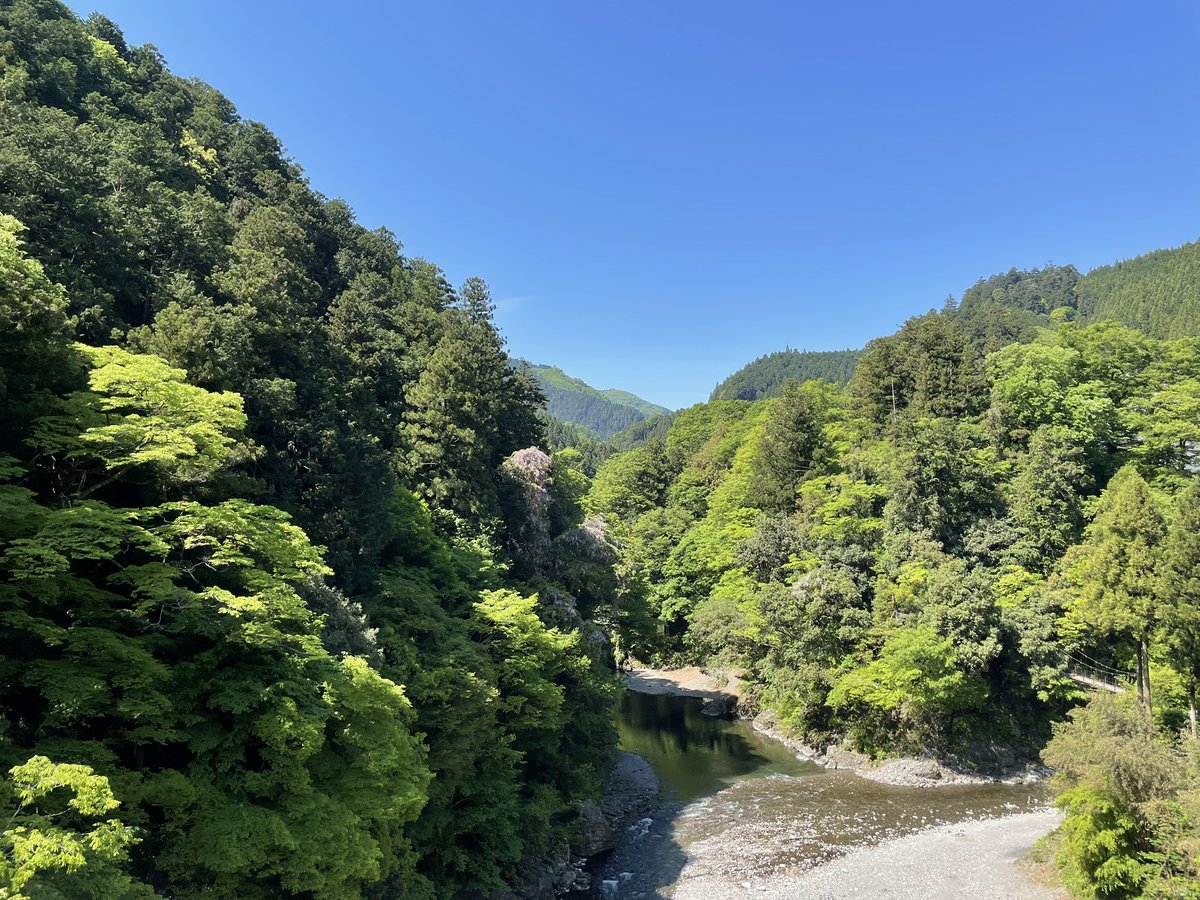 ikeikeJAPANESE's tweet photo. 大多摩ウォーキングトレイル！
天気が良くて，気持ちいい！😊
青空と新緑が綺麗でした！😊
#奥多摩　#大多摩ウォーキングトレイル https://t.co/qheIudAm1P