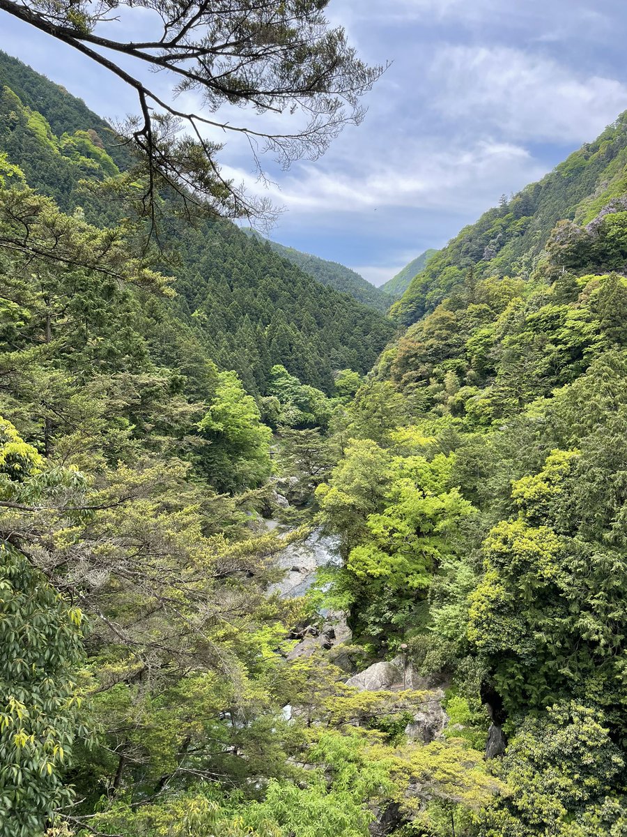 ikeikeJAPANESE's tweet photo. 大多摩ウォーキングトレイル！
天気が良くて，気持ちいい！😊
青空と新緑が綺麗でした！😊
#奥多摩　#大多摩ウォーキングトレイル https://t.co/qheIudAm1P