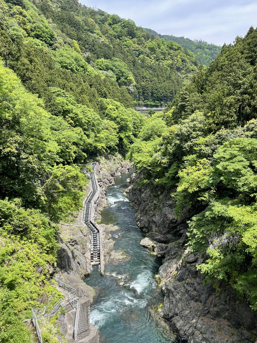 ikeikeJAPANESE's tweet photo. 大多摩ウォーキングトレイル！
天気が良くて，気持ちいい！😊
青空と新緑が綺麗でした！😊
#奥多摩　#大多摩ウォーキングトレイル https://t.co/qheIudAm1P